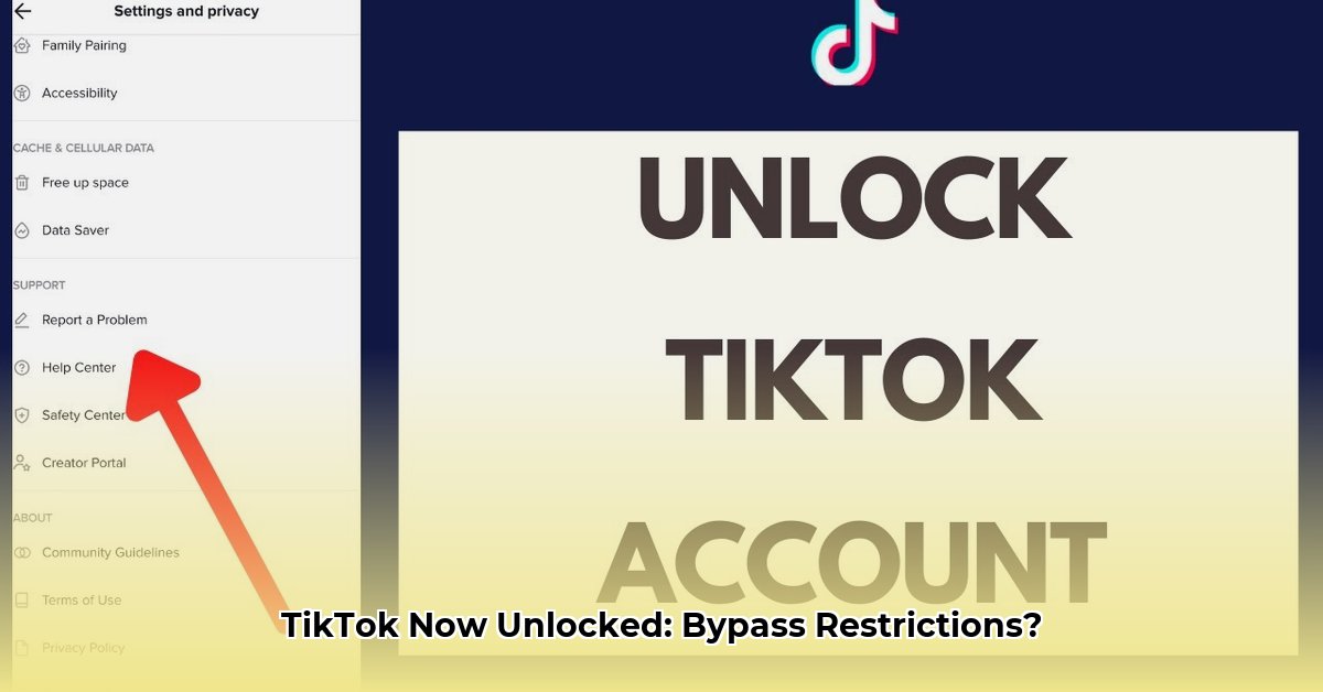 tiktok-unlocked